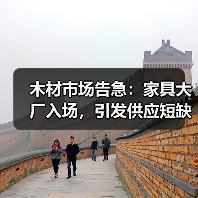 木材市场告急：家具大厂入场，引发供应短缺与价格攀升！（图4）