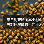 尼日利亚转向本土材料应对住房危机，泥土木材竹子成建筑新选择（图4）