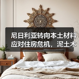 尼日利亚转向本土材料应对住房危机，泥土木材竹子成建筑新选择（图3）
