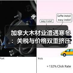加拿大木材业遭遇寒冬：关税与价格双重挤压下的生存挑战（图3）
