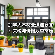 加拿大木材业遭遇寒冬：关税与价格双重挤压下的生存挑战（图1）