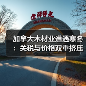 加拿大木材业遭遇寒冬：关税与价格双重挤压下的生存挑战（图4）