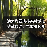 澳大利亚热带森林碳汇功能衰退,气候变化引发生态临界点预警(图4) 澳大利亚热带森林碳汇功能衰退,气候变化引发生态临界点预警(图4)
