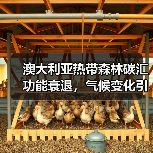 澳大利亚热带森林碳汇功能衰退,气候变化引发生态临界点预警(图1) 澳大利亚热带森林碳汇功能衰退,气候变化引发生态临界点预警(图1)