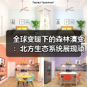 全球变暖下的森林演变：北方生态系统展现顽强生命力（图1）