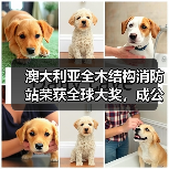 澳大利亚全木结构消防站荣获全球大奖，成公共基础设施可持续典范（图2）