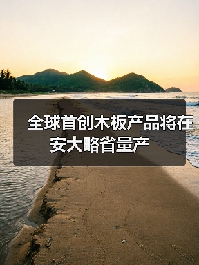 全球首创木板产品将在安大略省量产（图4）