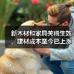 新木材和家具关税生效，建材成本至今已上涨34%！（图1）