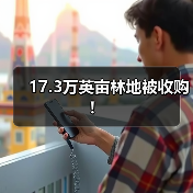 17.3万英亩林地被收购！（图1）