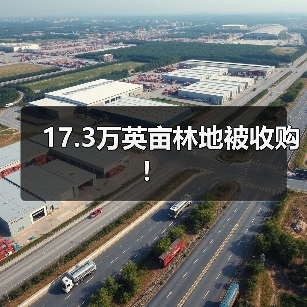 17.3万英亩林地被收购！（图2）