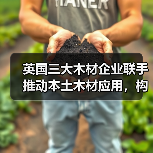英国三大木材企业联手推动本土木材应用，构建可持续建筑供应链（图1）