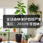 全球森林保护目标严重落后，2030年零毁林承诺面临严峻挑战（图4）