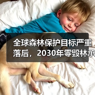 全球森林保护目标严重落后，2030年零毁林承诺面临严峻挑战（图3）