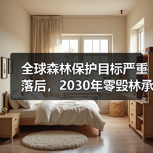 全球森林保护目标严重落后，2030年零毁林承诺面临严峻挑战（图1）