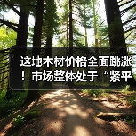 这地木材价格全面跳涨！市场整体处于“紧平衡”状态（图1）