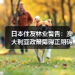 日本住友林业警告：澳大利亚政策障碍正阻碍住房投资与供应（图3）
