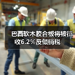 巴西软木胶合板将被征收6.2%反倾销税(图4) 巴西软木胶合板将被征收6.2%反倾销税(图4)