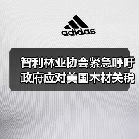 智利林业协会紧急呼吁政府应对美国木材关税冲击（图4）