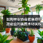 智利林业协会紧急呼吁政府应对美国木材关税冲击（图1）