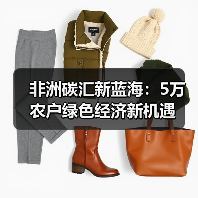 非洲碳汇新蓝海：5万农户绿色经济新机遇（图1）