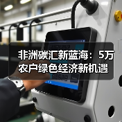 非洲碳汇新蓝海：5万农户绿色经济新机遇（图4）