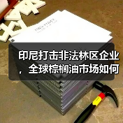 印尼打击非法林区企业，全球棕榈油市场如何震荡？（图1）