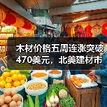 木材价格五周连涨突破470美元，北美建材市场将如何演变？（图4）