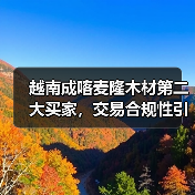 越南成喀麦隆木材第二大买家，交易合规性引担忧（图4）