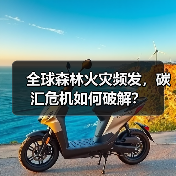 全球森林火灾频发，碳汇危机如何破解？（图4）