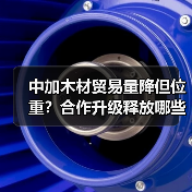 中加木材贸易量降但位重？合作升级释放哪些信号？（图1）