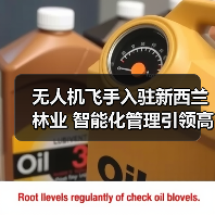 无人机飞手入驻新西兰林业 智能化管理引领高效变革（图4）