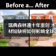 瑞典森林遭十年重创 木材短缺将如何影响全球市场？（图4）