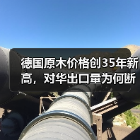 德国原木价格创35年新高，对华出口量为何断崖式暴跌？（图3）