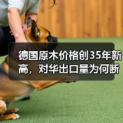 德国原木价格创35年新高，对华出口量为何断崖式暴跌？（图2）