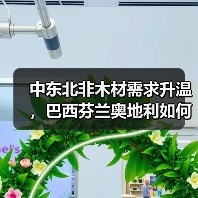 中东北非木材需求升温，巴西芬兰奥地利如何主导供应？（图4）