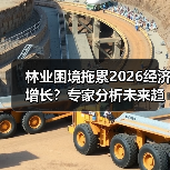 林业困境拖累2026经济增长？专家分析未来趋势（图3）