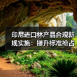印尼进口林产品合规新规实施：提升标准抢占国际市场份额（图3）