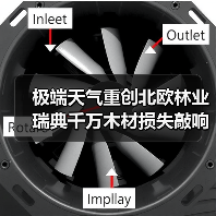 极端天气重创北欧林业 瑞典千万木材损失敲响警钟（图4）