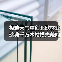 极端天气重创北欧林业 瑞典千万木材损失敲响警钟（图1）