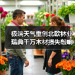 极端天气重创北欧林业 瑞典千万木材损失敲响警钟（图3）
