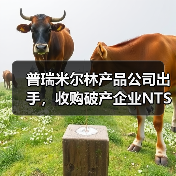 普瑞米尔林产品公司出手，收购破产企业NTS，英国工程木材市场迎来新变局（图2）