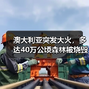 澳大利亚突发大火,多达40万公顷森林被烧毁!预计对建筑材供应造成冲击(图2) 澳大利亚突发大火,多达40万公顷森林被烧毁!预计对建筑材供应造成冲击(图2)
