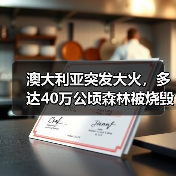 澳大利亚突发大火,多达40万公顷森林被烧毁!预计对建筑材供应造成冲击(图3) 澳大利亚突发大火,多达40万公顷森林被烧毁!预计对建筑材供应造成冲击(图3)