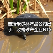 普瑞米尔林产品公司出手，收购破产企业NTS，英国工程木材市场迎来新变局（图4）
