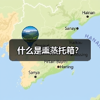 什么是熏蒸托箱？（图1）