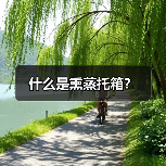 什么是熏蒸托箱？（图4）