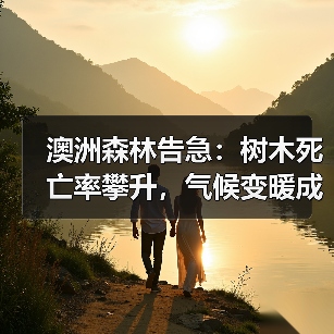 澳洲森林告急：树木死亡率攀升，气候变暖成“隐形杀手”？（图4）