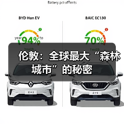 伦敦：全球最大“森林城市”的秘密（图1）