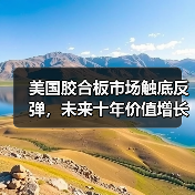 美国胶合板市场触底反弹，未来十年价值增长预期温和（图3）