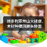 维多利亚州山火肆虐，木材种植园损失惨重（图1）